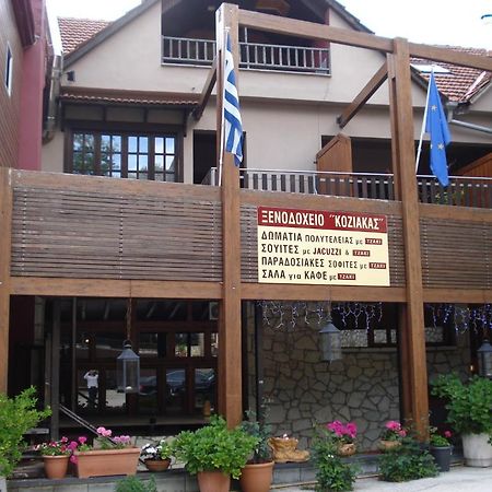 Hotel Koziakas Eláti Exterior foto
